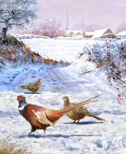 1207 Pheasants