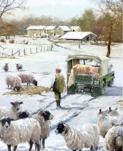 1208 Farmer Sheep