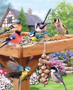 1220 Garden Birds