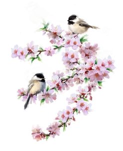 1221 Chickadees