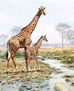1249 Giraffe