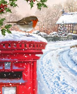 1258 Robin On Postbox