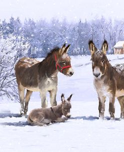 1283 Donkeys in Snow