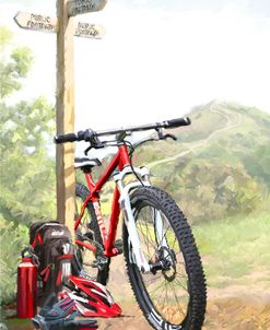 1329 Mountain Bike