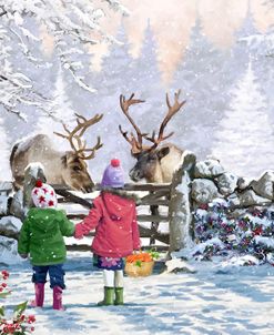 1350 Reindeer Pair