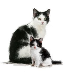 1371 Black And White Cat & Kitten