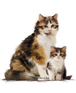 1374 Tortoiseshell Cat & Kitten