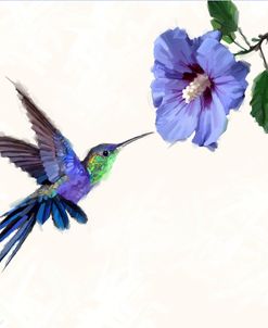 1434 Humming Bird