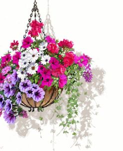 1435 Hanging Basket