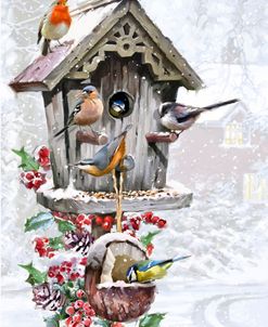 1577 Bird House