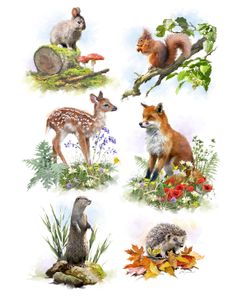 1503 Wildlife Collage