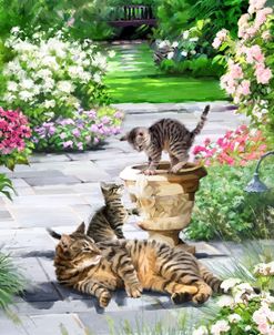 1504 Cats