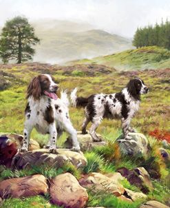 1508 Spaniels on Moor