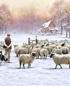1549 Sheep Shepherd