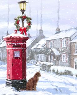 0202 Cat And Postbox