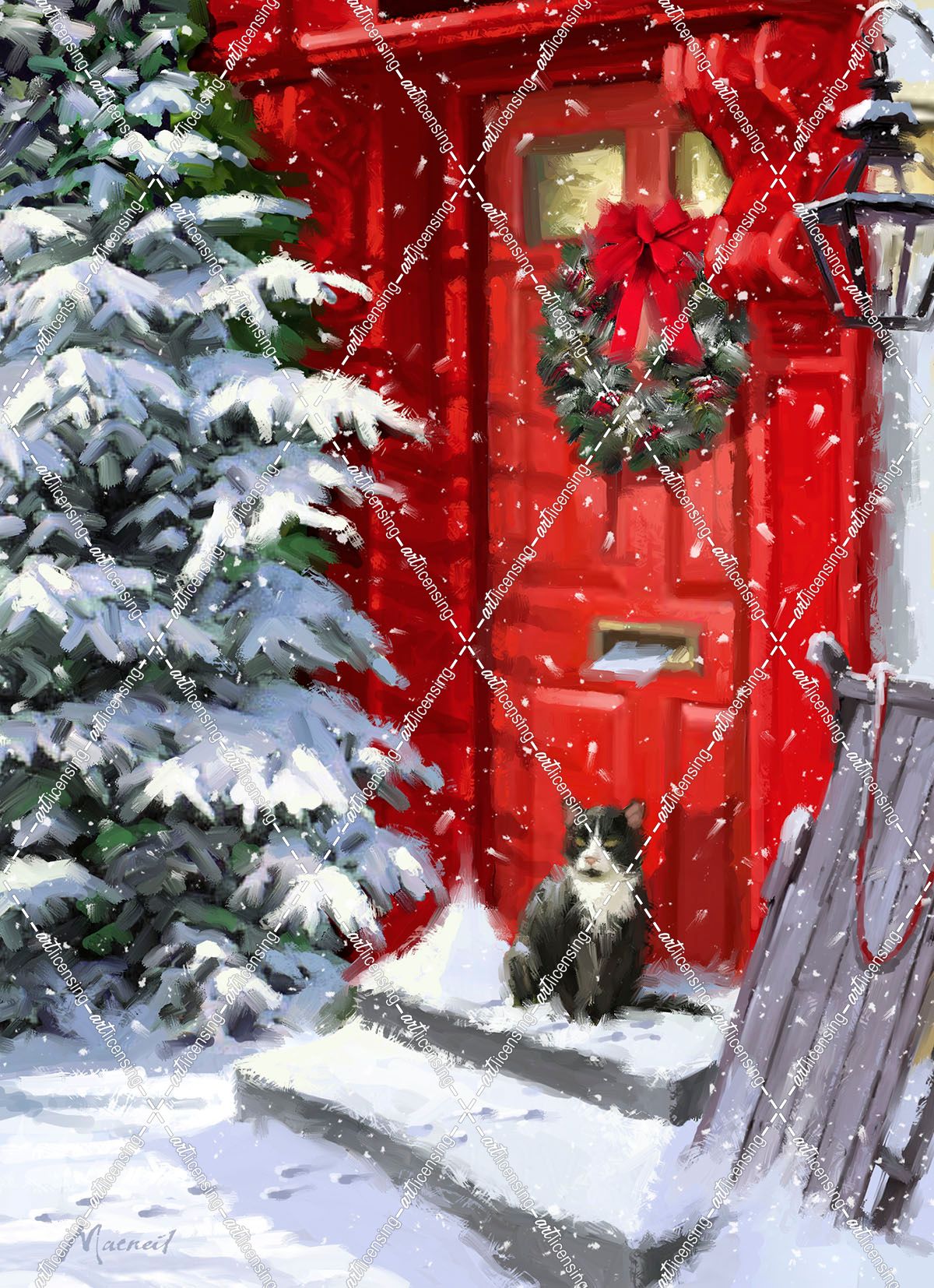 0247 Red Door And Cat