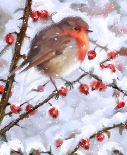 0683 Robin With Winter Berries