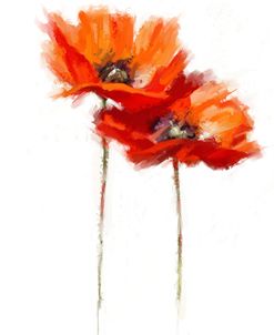 014 Poppies