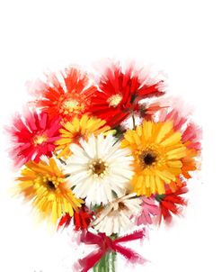 0137 Gerberas