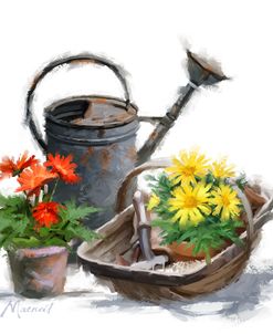 0211 Watering Can