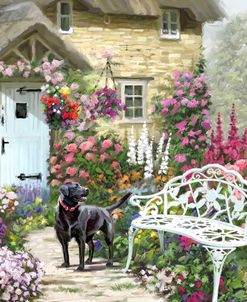 0259 Cottage Garden