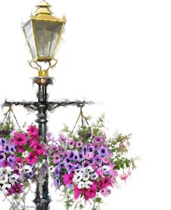 0390 Lamp Hanging Basket