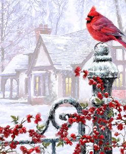 0866(a) Cardinal on Gatepost