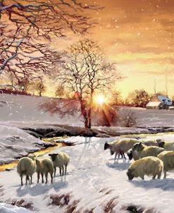 0884 Winter Sheep