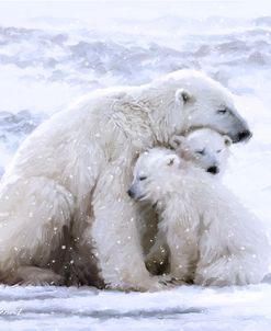 0885 Polar Bear Cubs