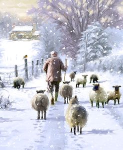 0985 Winter Shepherd