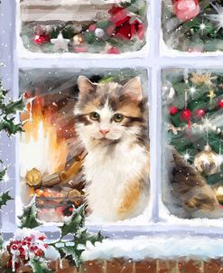 1563 Cat at Window