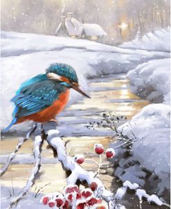 1566 Winter Kingfisher