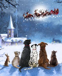 1559 Dogs Watching Santa