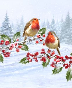 1610 Robin Pair on Holly Branch