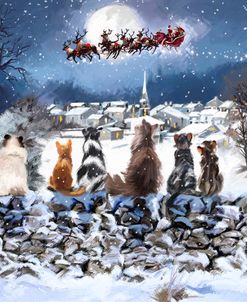 1649 Christmas Cats
