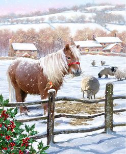 1620 Shetland Pony