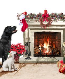 1626 Black Lab and Fireplace