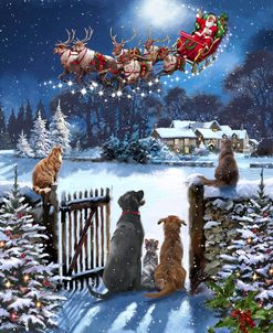 1696 Cats and Dogs Watching Santa