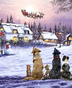 1719 Dogs Watching Santa 2