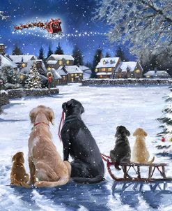 1907 Dogs Watching Santa