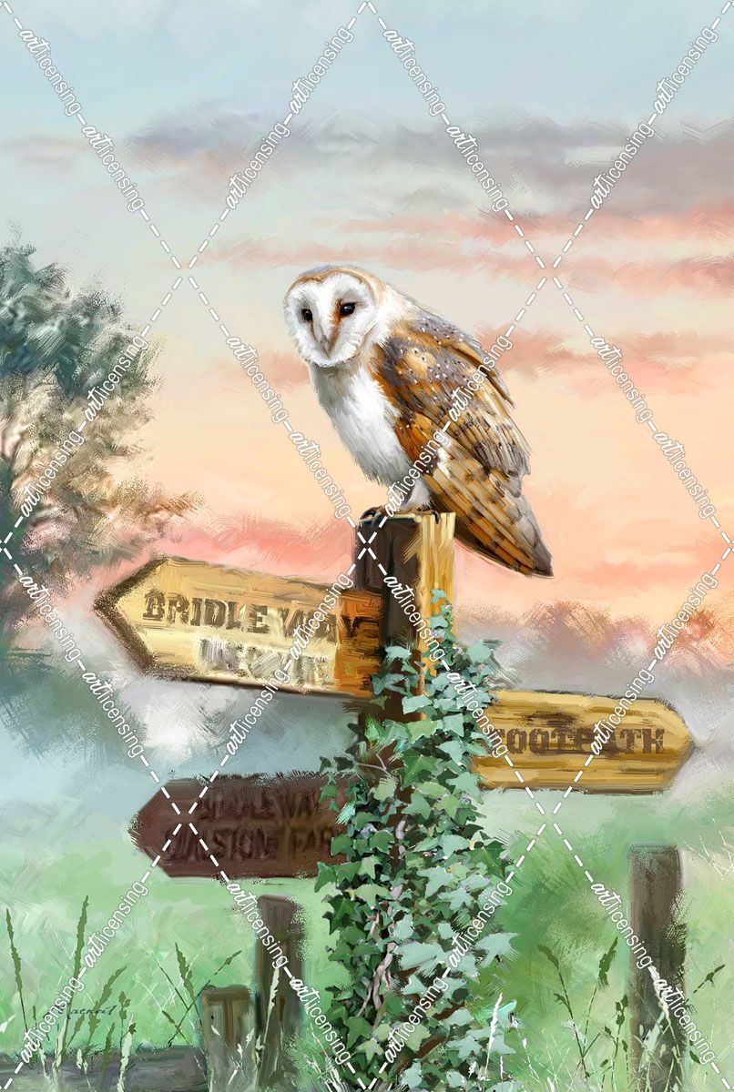 1983 Barn Owl