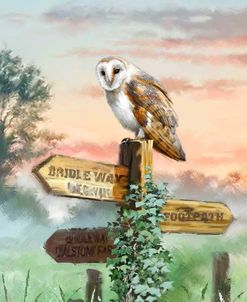 1983 Barn Owl