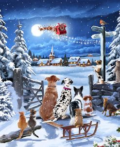 2018 Winter Dogs Watching Santa