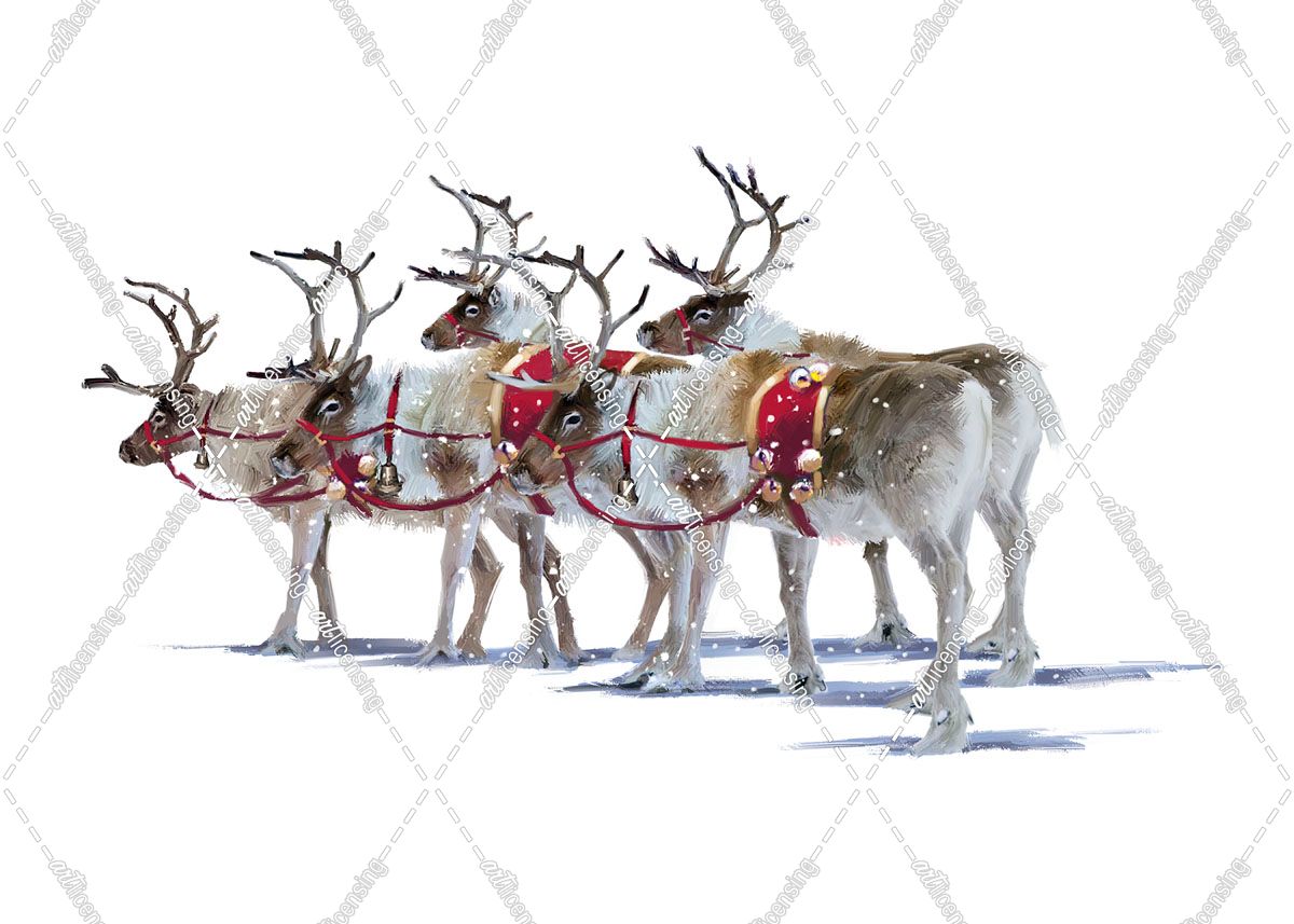 2019 Reindeer