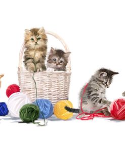 2014 Kittens Playing With String