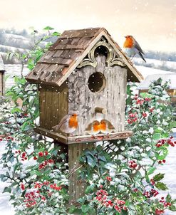 2047 Robin Birdhouse