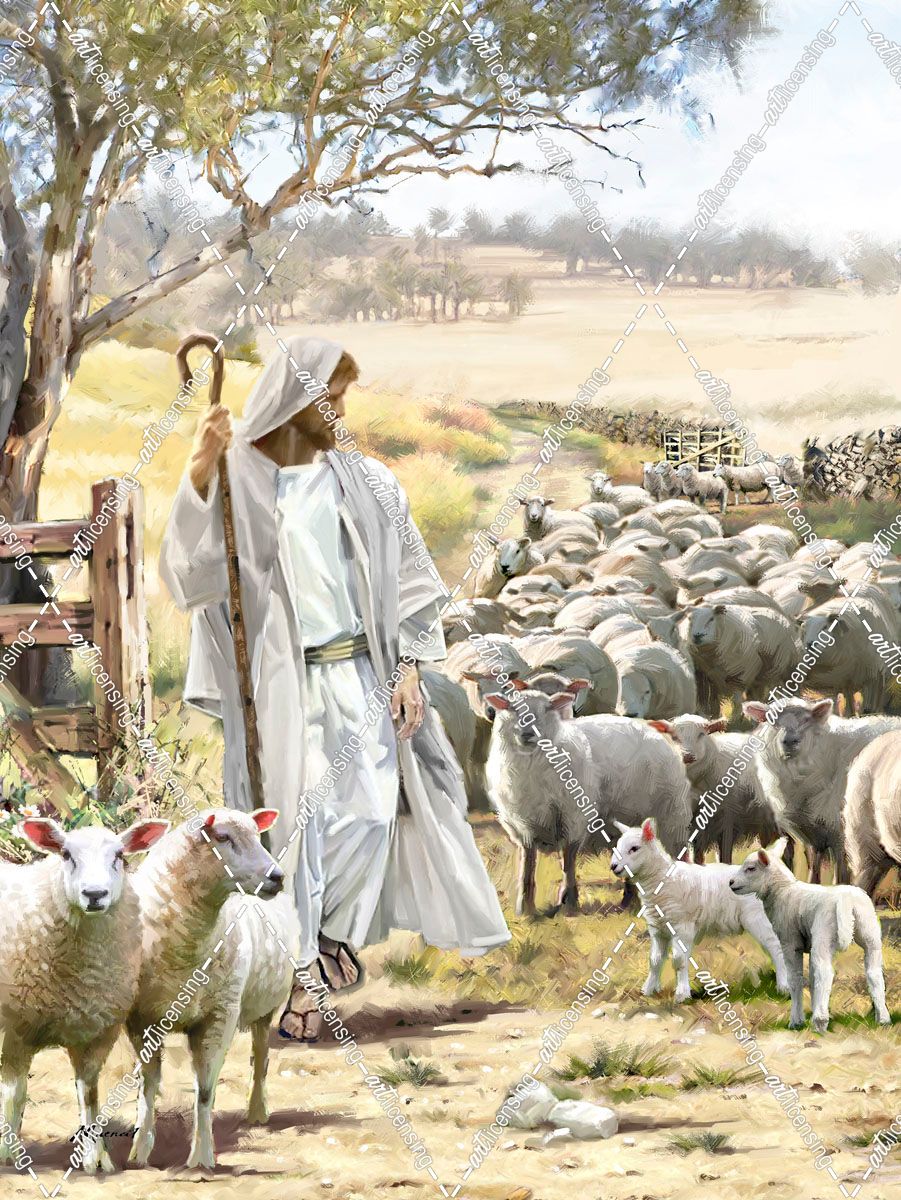 2122 Jesus And Sheep