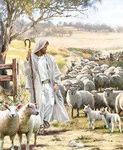 2122 Jesus And Sheep