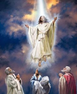 2124 Jesus Ascending To Heaven