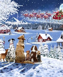 2195 Dogs Watching Santa